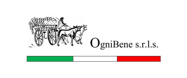 OGNIBENE S.R.L.S.